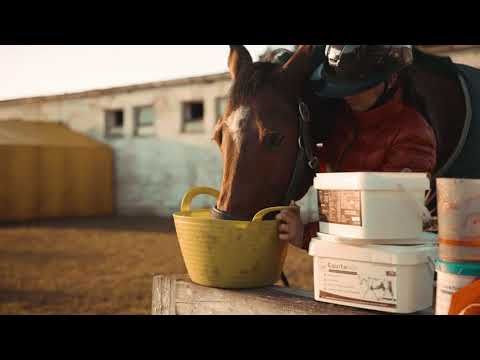 Heliantus Horse Feed | Commercial Video | Burski Media