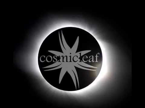 #8 Discovering Cosmicleaf.com - Mix & Selection by Dense