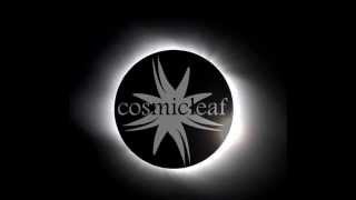 #8 Discovering Cosmicleaf.com - Mix &amp; Selection by Dense