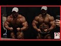 Can Roelly Winklaar Win the Mr Olympia? + Chris Bumstead Looks Soft? + Brandon Curry Update!