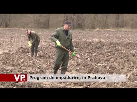 Program de împădurire, în Prahova