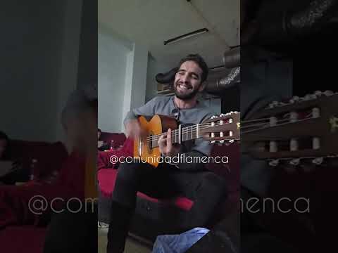 Chino del Bohio EN DIRECTO 2024