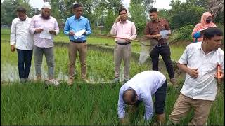 অতন্ত্র জরিপ