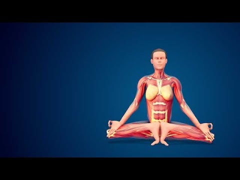 3D human Mulabandhasana yoga pose on blue background stock footage | stock video | Cinefootage