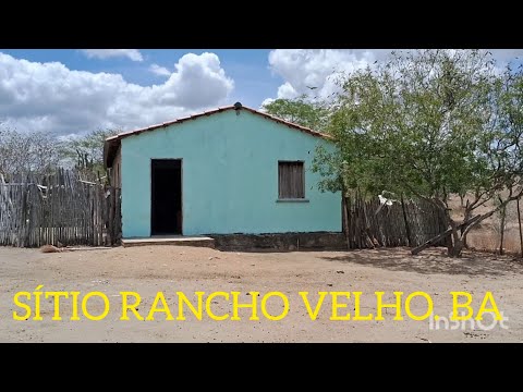 LINDA IMAGEM DO SERTÃO DA BAHIA. SÍTIO RANCHO VELHO MUNICÍPIO DE VALENTE. BA.
