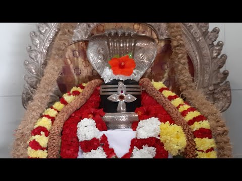 Morning Prayers at Sri Sivan Temple on 22/05/2020