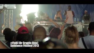 Fly Bi (Dr Cryptic Remix) - Sundance Festival 2013