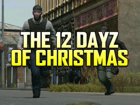 The 12 DayZ of Christmas