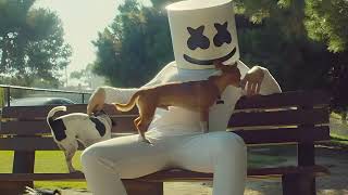 Marshmello - Ritual (feat. Wrabel) [Extended]