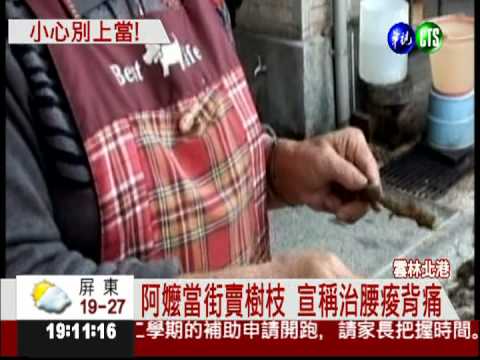 治腰痠背痛?! 阿嬤誆樹枝能治病