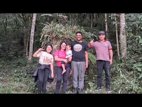 A FAMOSA PEDRA DA LAGOA VERDE QUITANDINHA PR O OURO DA NETA DO REI DA ESPANHA INÉDITO FATO VERÍDICO