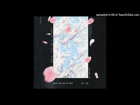 Shawn Mendes - Lost In Japan (Zedd Remix) [HQ]