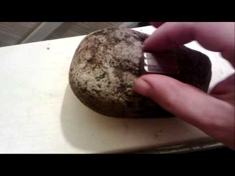 meteorite ?? Neodymium Magnet test metal detecting
