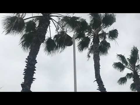 [OFFICIAL VIDEO] MY VIEWS (YUNG RICO)