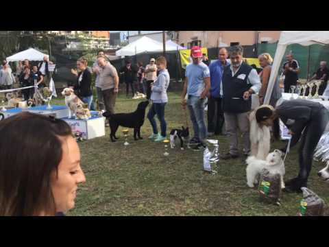 18° Trofeo Calcinaia - UBI UBI - Vtrend.it