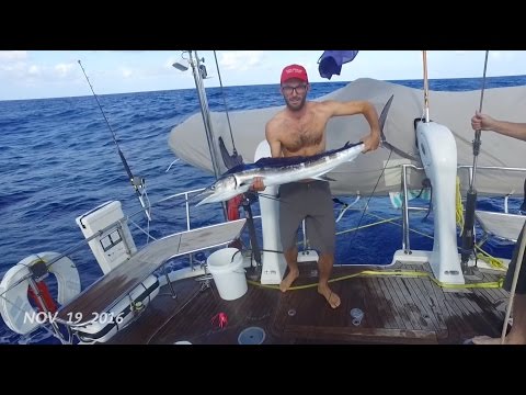 The Hesaid Shesaid - Rory's one second every day November 2016