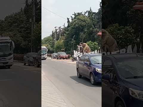 Mosquera -Cundinamarca#travel #turismo