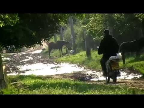 Comuna Izvoarele judetul Tulcea