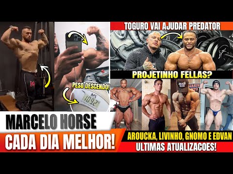 HORSE ESTA INSANO E PESO DESCENDO! PREDATOR RECEBE APOIO DE TOGURO! AROUCKA, EDVAN, GNOMO E LIVINHO.