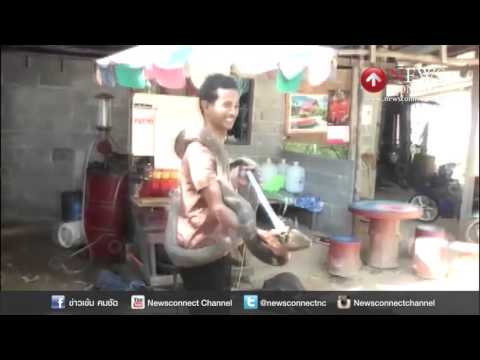 คลิกเพื่อดูคลิปวิดีโอ