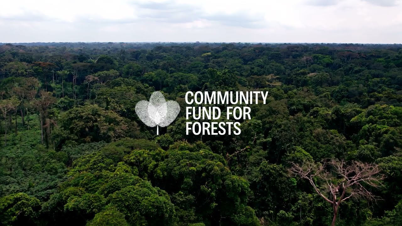 Teaser: Our Forests, Our Future - The Community Funds for Forests