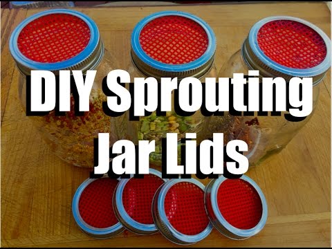 download lagu mp3 mp4 What Is A Sprouting Lid, download lagu What Is A Sprouting Lid gratis, unduh video klip What Is A Sprouting Lid