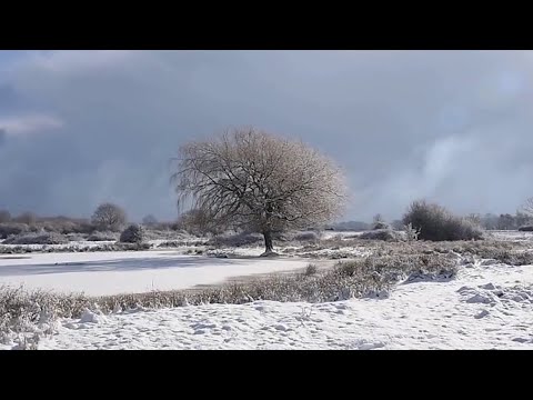 The Beast from the East: A year on