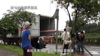 Ｃｙｃｌｅ-９０°" a premonition of wind XIV"  - process