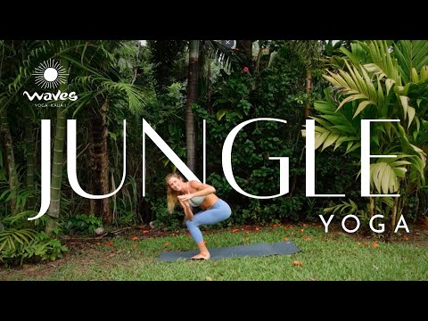 Jungle Yoga   I   Yoga Flow