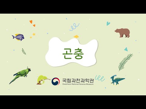 「곤충」의 한국수어 표현