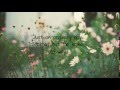 The Day I Fall In Love Lyrics