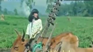 Download lagu RHOMA IRAMA  DAWAI ASMARA mp3