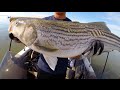2016 Spring Stripers - Dirty Delta