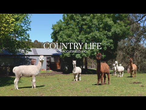 11 Cherry Road, Macclesfield, VIC 3782, 5 Kuwarto, 3 Banyo, Lifestyle Section
