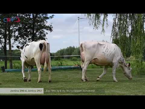 Jantina 290 & Jantina 292, eig.: Mts J.G. & A.G. Sturkenboom, Schalkwijk