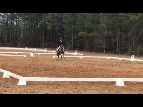 SOLD - Harry D Sporting Days BN Mar 2019