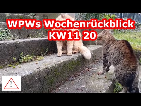 Vom Lied über Corona bis zum Ausrasten - WPWs Wochenrückblick KW11 20