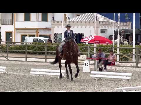 CNET- Prova ensino - Expo Égua ( Lara e Endiabrado)