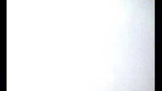 Lamb. Soft Mistake. promo wildflowers