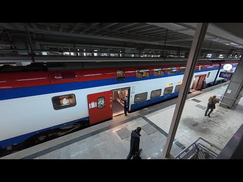 GLOBALink | Serbian section of Chinese-built high-speed railway opens
