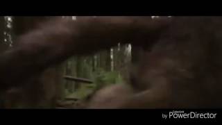 Twilight saga — Here I am— By Rohan