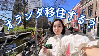 [🇳🇱オランダ旅行]🌷可愛いらしい街デルフトの魅力紹介/🍨大人気のチョコレートジェラート/⛪️素敵な教会巡り/🍛カレー味のソーセージパイが美味しい/🐇ミッフィーグッズ