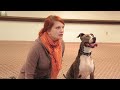 How to Act Like a Dog