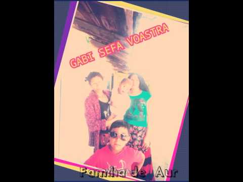 Sofian din baraganu-2