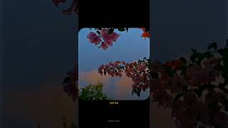 NAZAR NA LAG JAAYE SONG STATUS FULL SCREEN #ashking