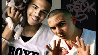 Pitbull feat. Chris Brown - Shame [2011 REMiX]