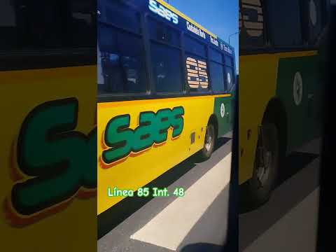 ¡ Tres bondis en la YPF de Beiró y General Paz ! (Noviembre 2025) | Juani Bondis