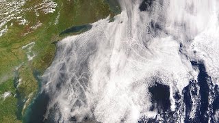 Climate Crises in Human History