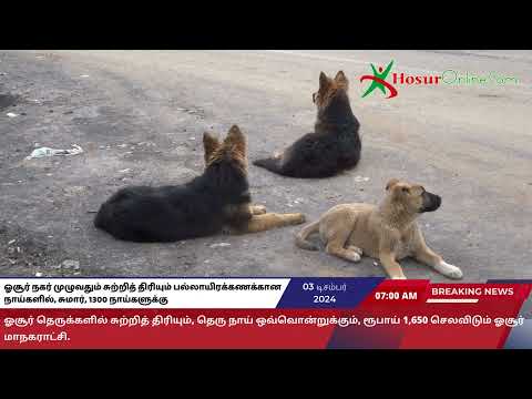 SPCA என்கிற, அரசு சார்புடைய அமைப்பின் கட்டுப்பாட்டின் கீழ்