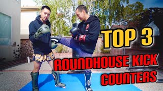 ROUNDHOUSE KICK COUNTERS 🔥